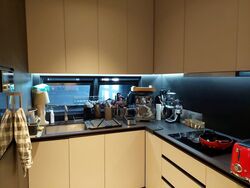 3 Cuscaden (D10), Apartment #592375621